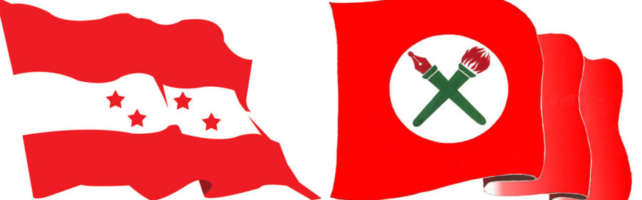 NebisanghNSU-flag