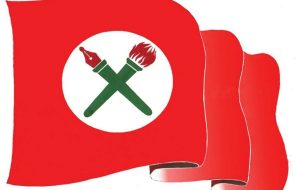 nebi sag logo