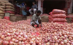 onion-in-delhi-15_5