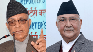 lohani-oli