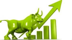 share-bull
