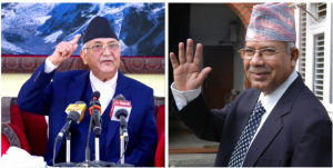 woli vs madav